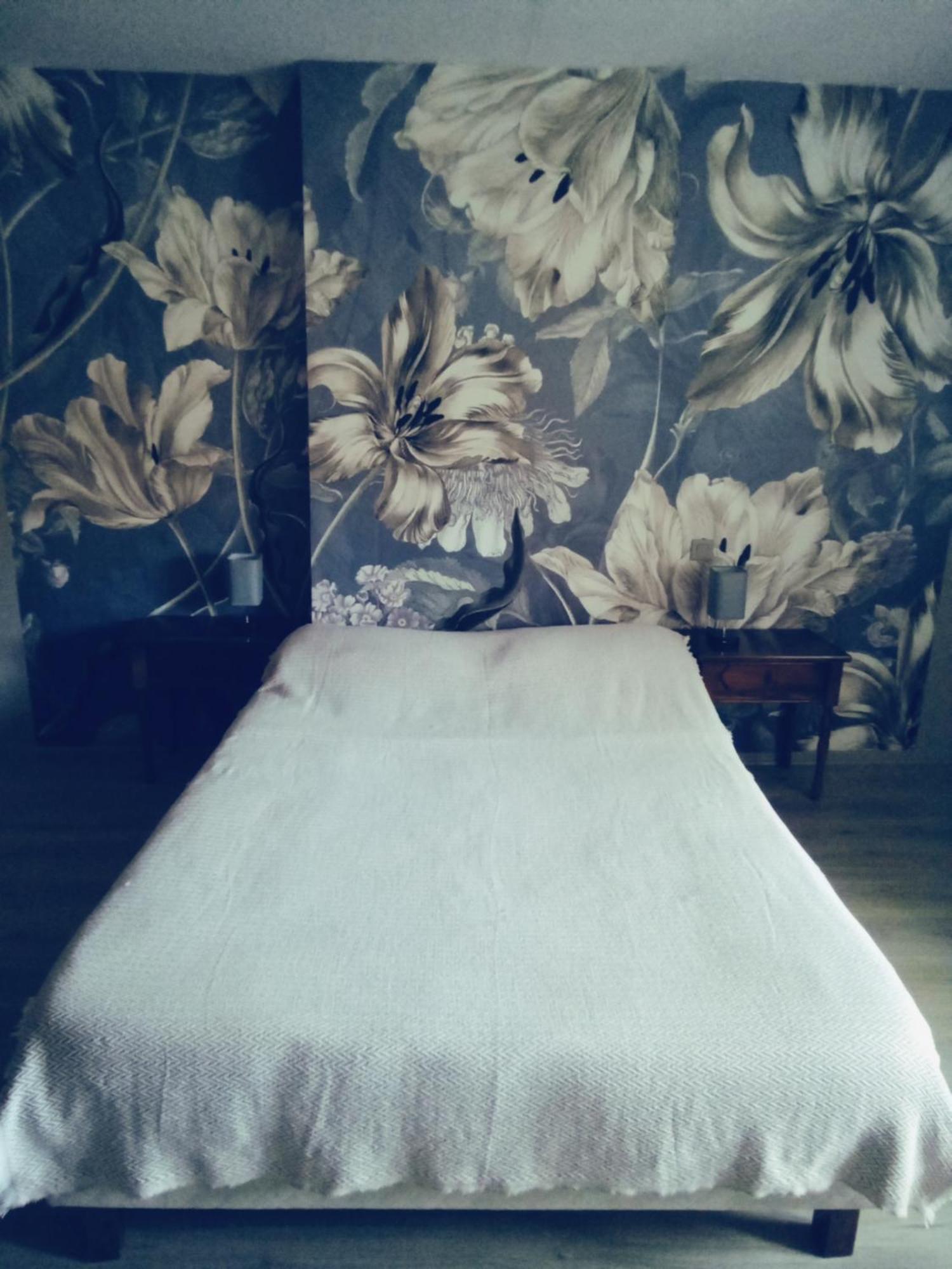 Les Coquillages Villa Essoyes Dış mekan fotoğraf