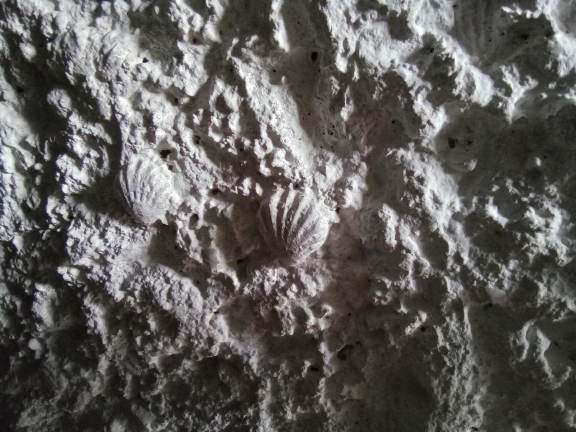 Les Coquillages Villa Essoyes Dış mekan fotoğraf